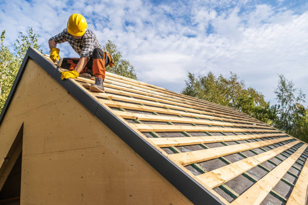 Best Affordable Roof Replacement  in Sherwood, OH