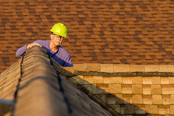 Best Local Roofing Companies  in Sherwood, OH